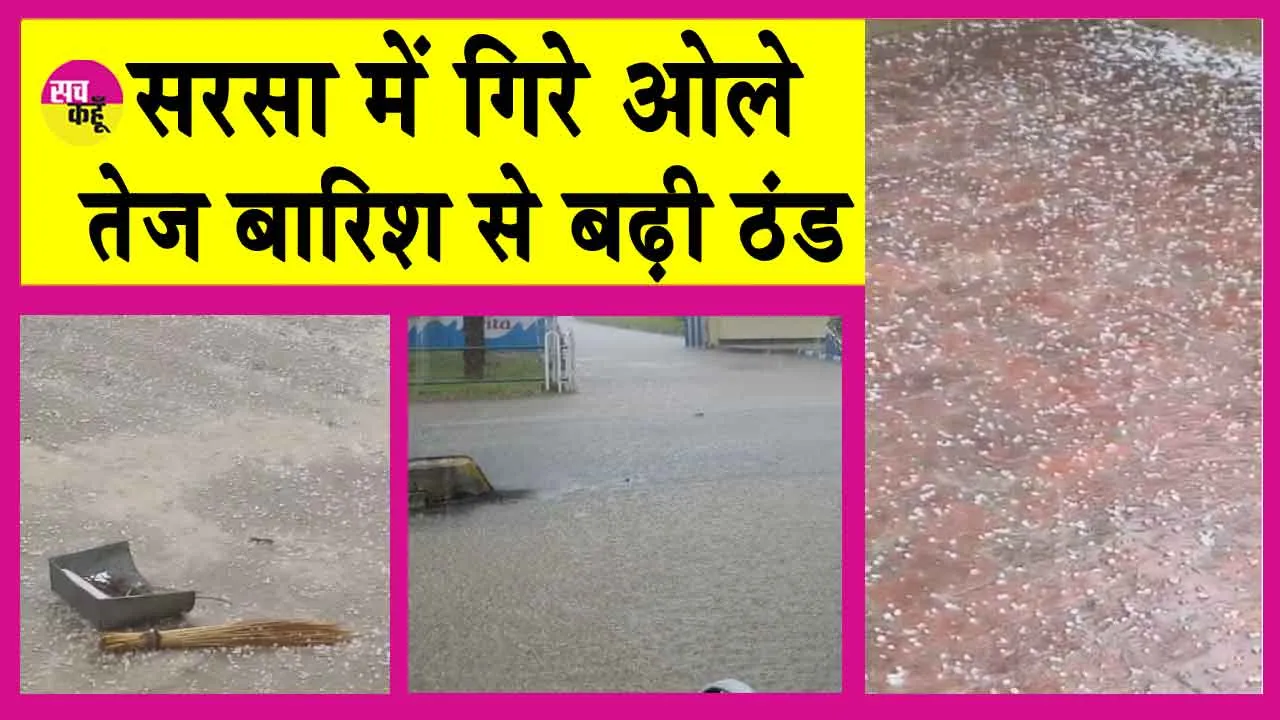 Sirsa Rain: सरसा में गिरे ओले! बढ़ा ठंड का प्रकोप