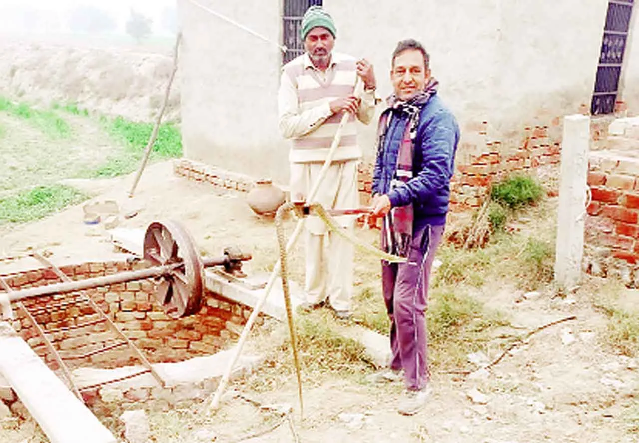 Snake News: खेत में बनी डिग्री में सांप आने से दहशत! वेद पूनिया ने बचाई सांप की जान!