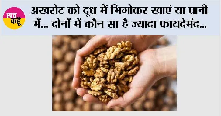 Walnuts Benefits: अखरोट को दूध में भिगोकर खाएं या पानी में… दोनों में कौन सा है ज्यादा फायदेमंद, यहां पढ़ें पूरी डिटेल..