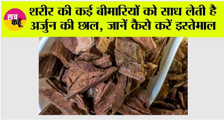Arjun Chaal Benefits: शरीर की कई बीमारियों को साध लेती है अर्जुन की छाल, जानें कैसे करें इस्तेमाल