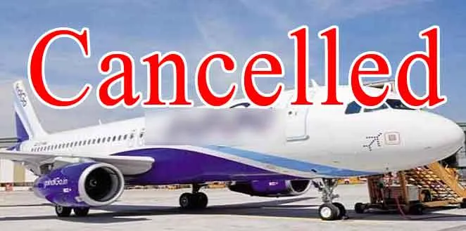 Flights Cancelled: दिल्ली-एनसीआर में कोहरे ने रोकी रफ्तार 7 उड़ानें रद्द