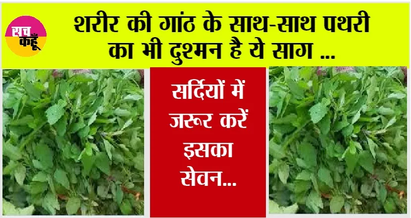 Health News: शरीर की गांठ के साथ-साथ पथरी का भी दुश्मन है ये साग, सर्दियों में जरूर करें इसका सेवन…