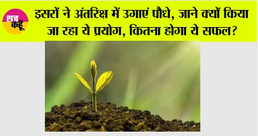 Isro News: इसरों ने अंतरिक्ष में उगाएं पौधे, जाने क्यों किया जा रहा ये प्रयोग, कितना होगा ये सफल?