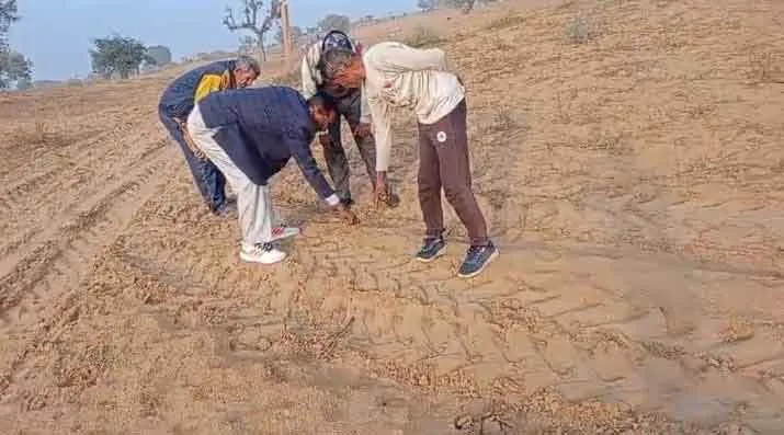 Leopard News: गुलपुरा और राघा बड़ी में दिखे तेंदुए के पैरों के निशान, वन विभाग ने किया सतर्क!