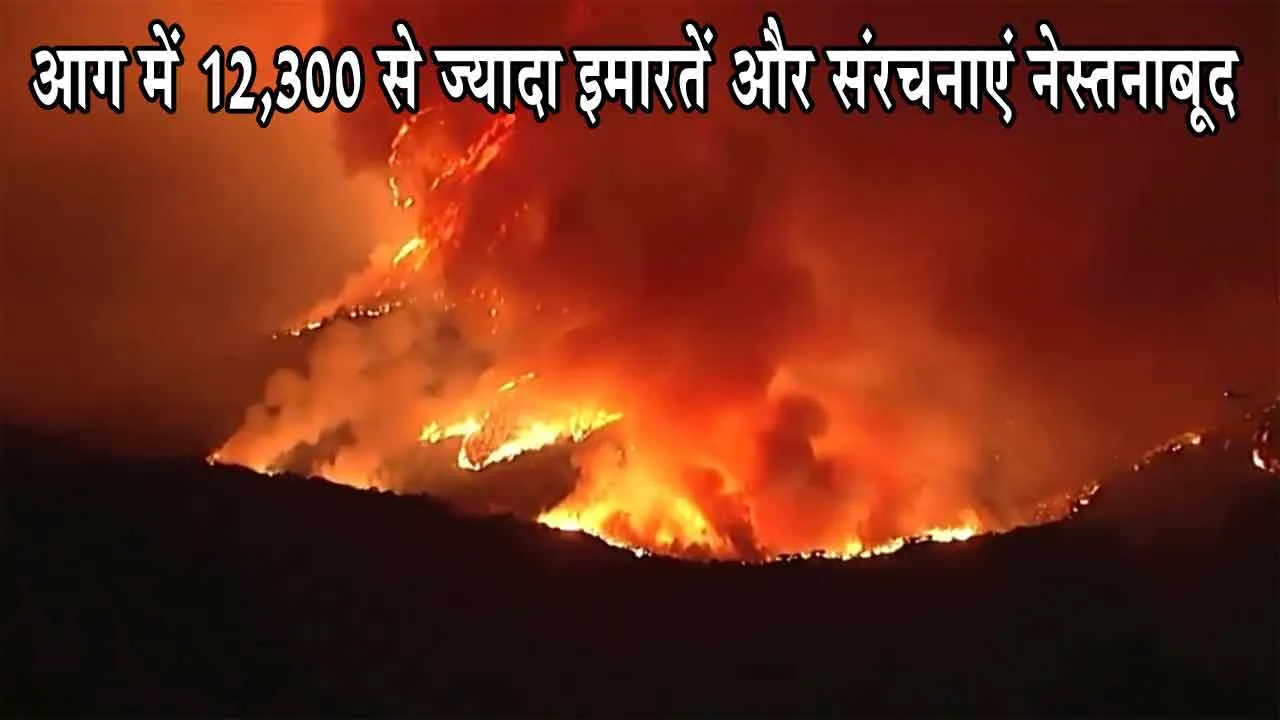 Los Angeles Forest News: जंगल की आग में 12,300 से ज्यादा इमारतें और संरचनाएं नेस्तनाबूद