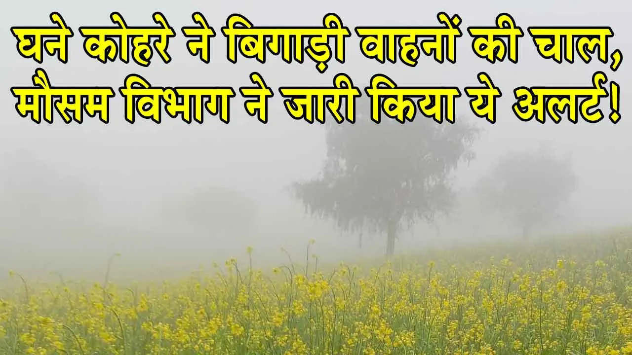 Rajasthan Weather: घने कोहरे ने बिगाड़ी वाहनों की चाल, मौसम विभाग ने जारी किया ये अलर्ट!