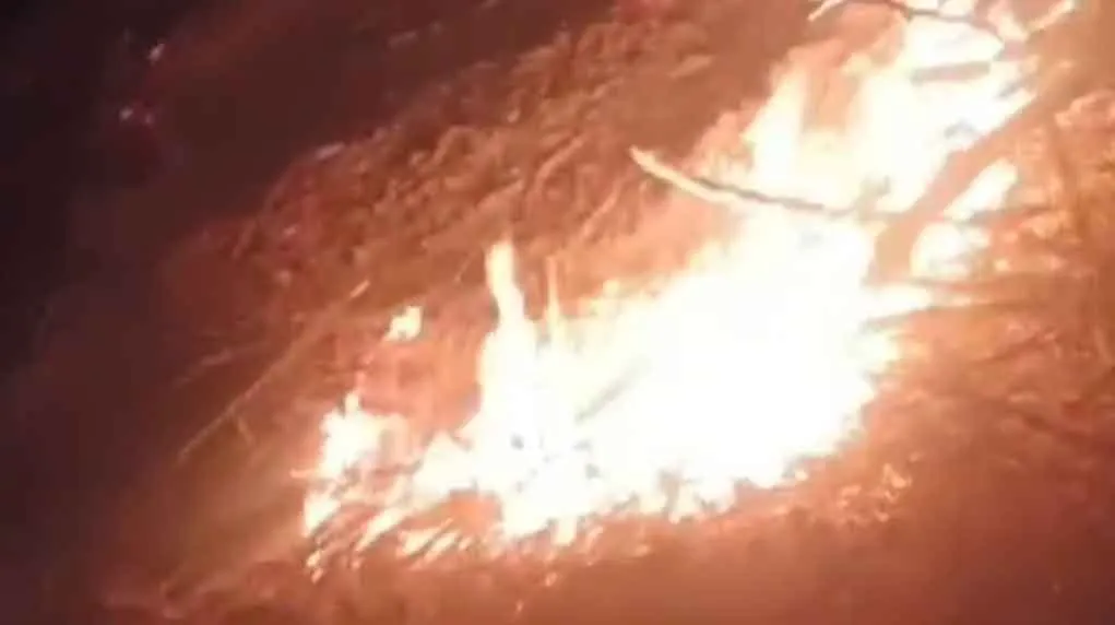Rajasthan Fire: रंजिशन खेत में पड़ी लकड़ियों में लगाई आग! हरे पेड़ भी आये चपेट में