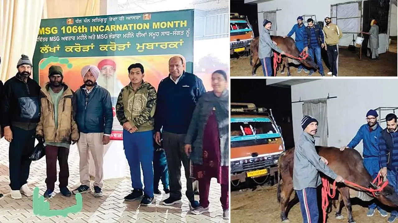संगरूर डेरा श्रद्धालुओं ने की मन्दबुद्धि युवक व समाना डेरा श्रद्धालुओं ने की बीमार गाय की संभाल