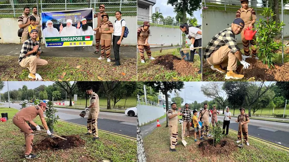 Singapore: सिंगापुर की साध संगत ने लगाए 21 पौधे