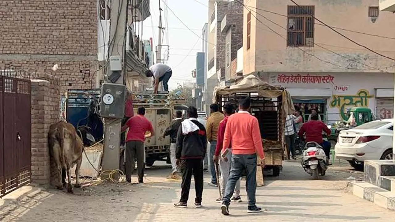 नप ने चलाया अतिक्रमण हटाओ, निराश्रित पशु पकड़ो अभियान