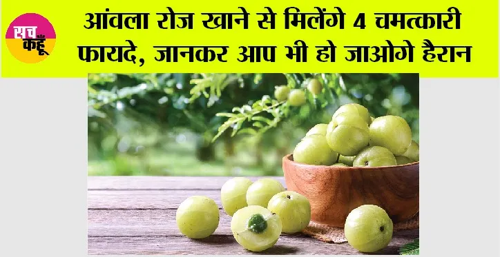 Amla Benefits: आंवला रोज खाने से मिलेंगे 4 जबरदस्त फायदे, जानकर आप भी हो जाओगे हैरान