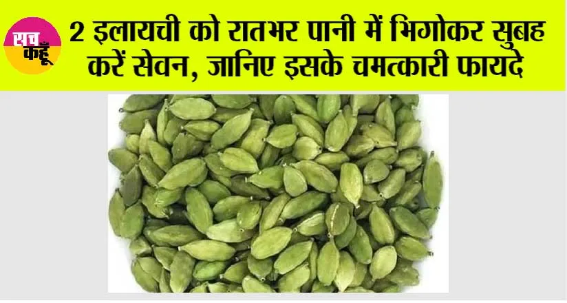 Elaichi Water Benefits: 2 इलायची को रातभर पानी में भिगोकर सुबह करें सेवन, जानिए इसके चमत्कारी फायदे