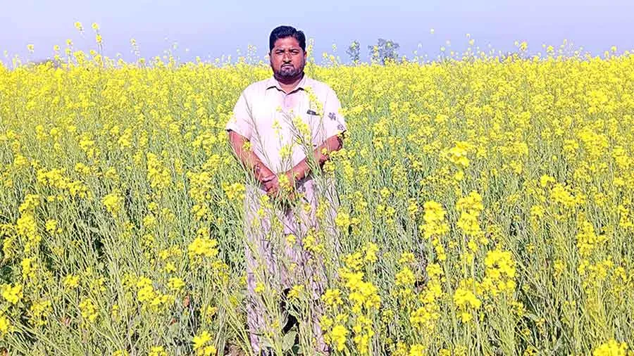 Innovative Farmer Award: फाजिल्का के प्रगतिशील किसान करनैल सिंह को मिलेगा नवोन्मेषी किसान पुरस्कार