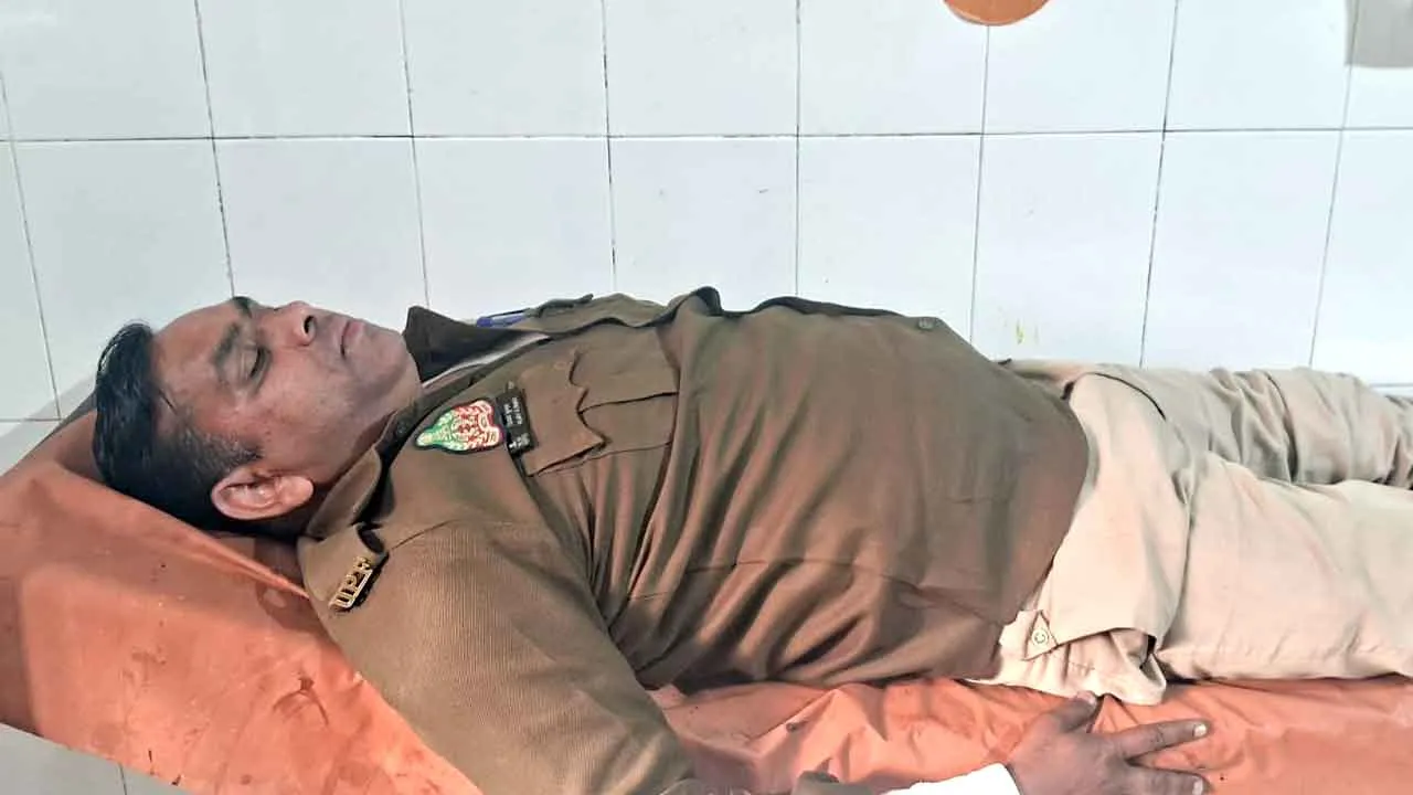 वन माफियाओं द्वारा की जा रही पेड़ों के कटान को रोकने गई टीम पर हमला, दो रायफल लूटी