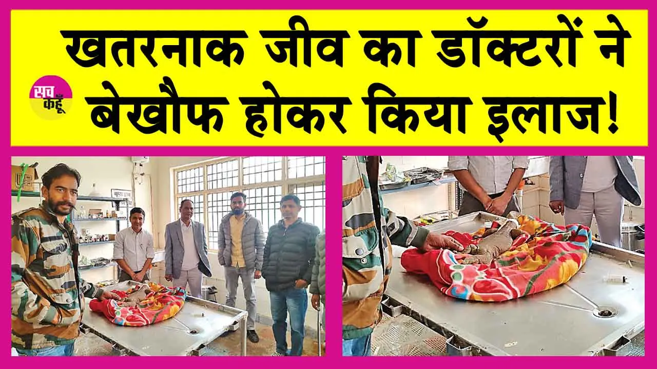 Lizard Treated: जिसका लोगों में है खौफ, उसी खतरनाक जीव का डॉक्टरों ने बेख़ौफ़ होकर किया इलाज!