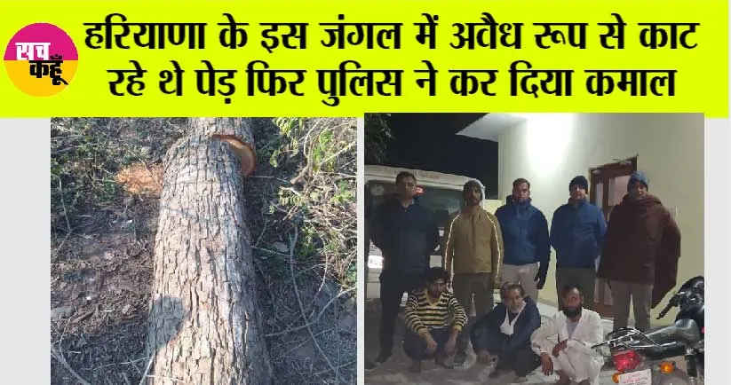 हरियाणा के इस जंगल में अवैध रूप से काट रहे थे पेड़ फिर पुलिस ने कर दिया कमाल