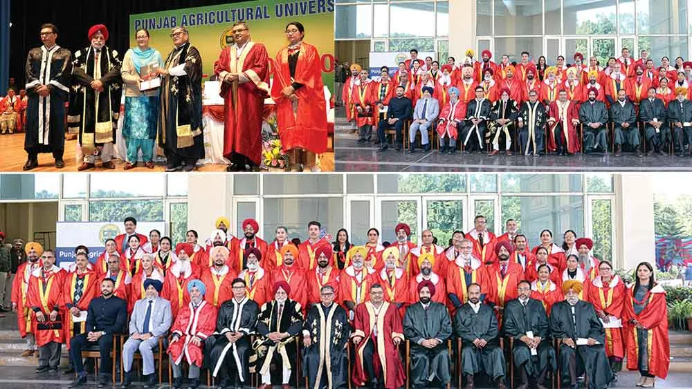 ‘अध्यापक ही समाज के असल निर्माता’