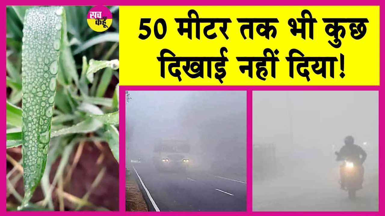 Rajasthan Weather News: लगातार दूसरे दिन 50 मीटर से भी कम विजिबिलिटी