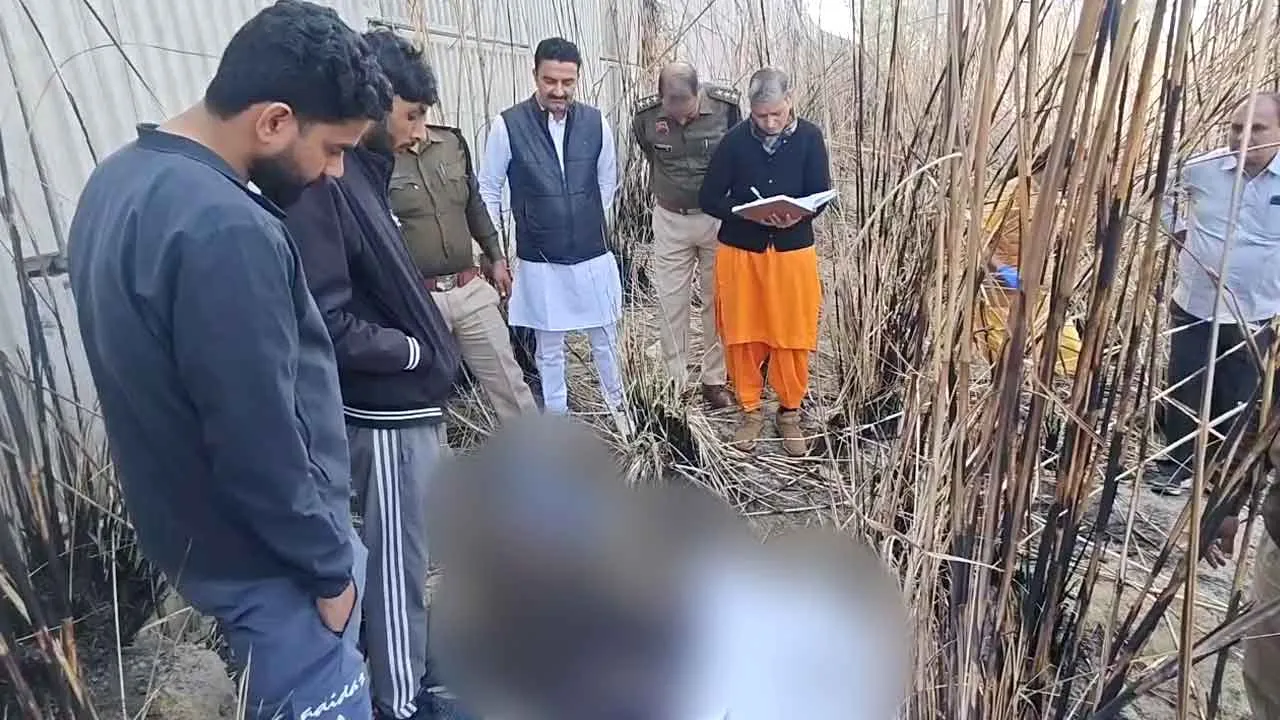 Rohtak Crime News: तेजधार हथियार से युवक की बेरहमी से की हत्या, झांडियों में मिला शव