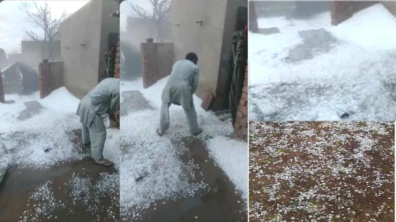 Hailstorm: लूणकरणसर, चुरू, राजगढ़ व भानीपुरा सहित कई गांवों में भीषण ओलावृष्टि हुई