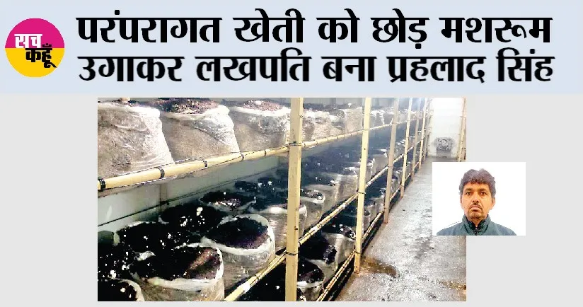 Agriculture News: परंपरागत खेती को छोड़ मशरूम उगाकर लखपति बना प्रहलाद सिंह