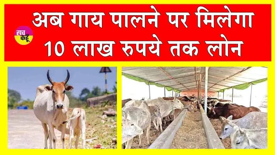 Amrit Dhara Yojana: गोवंश पालने पर आसानी से मिलेगा 10 लाख तक लोन! किसी गारंटर की भी जरूरत नहीं!