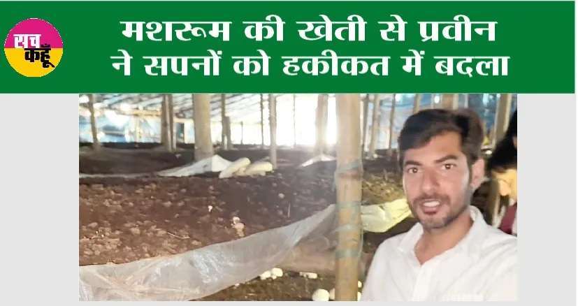 Mushroom Ki Kheti: मशरूम की खेती से प्रवीन ने सपनों को हकीकत में बदला