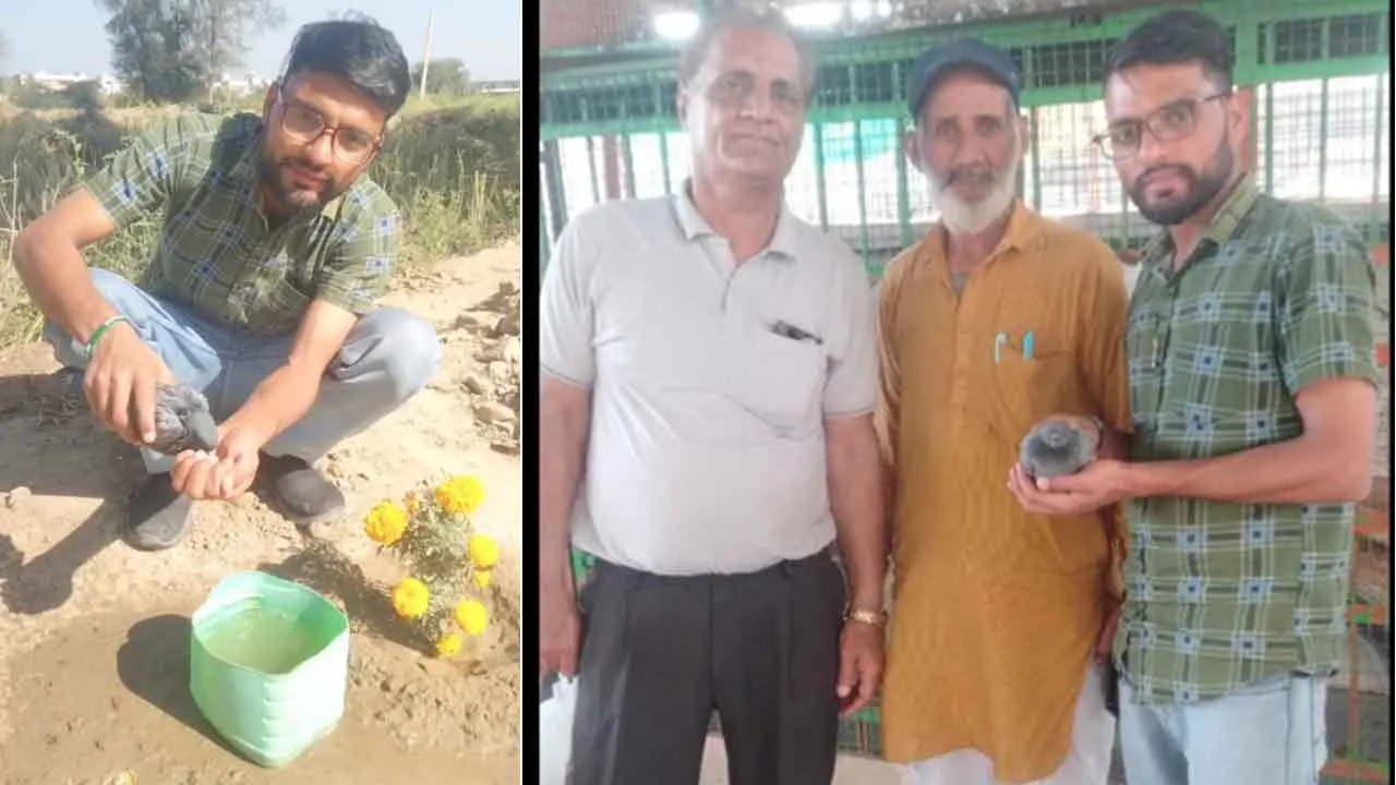 Bird Nurturing Campaign: उपकार कालोनी, सरसा के सेवादार ने ‘पक्षी उद्धार’ मुहिम के तहत बचाई एक पक्षी की जान
