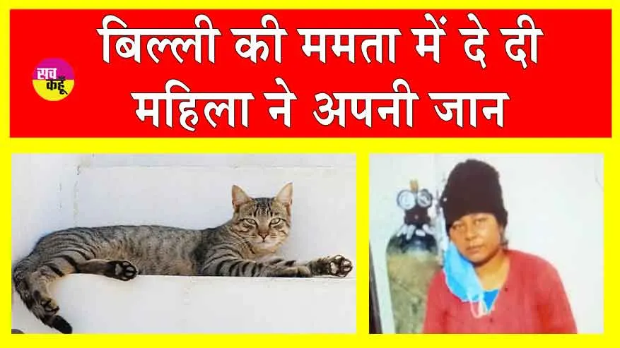 मरी बिल्ली जिंदा नहीं हुई तो महिला ने दे दी जान!