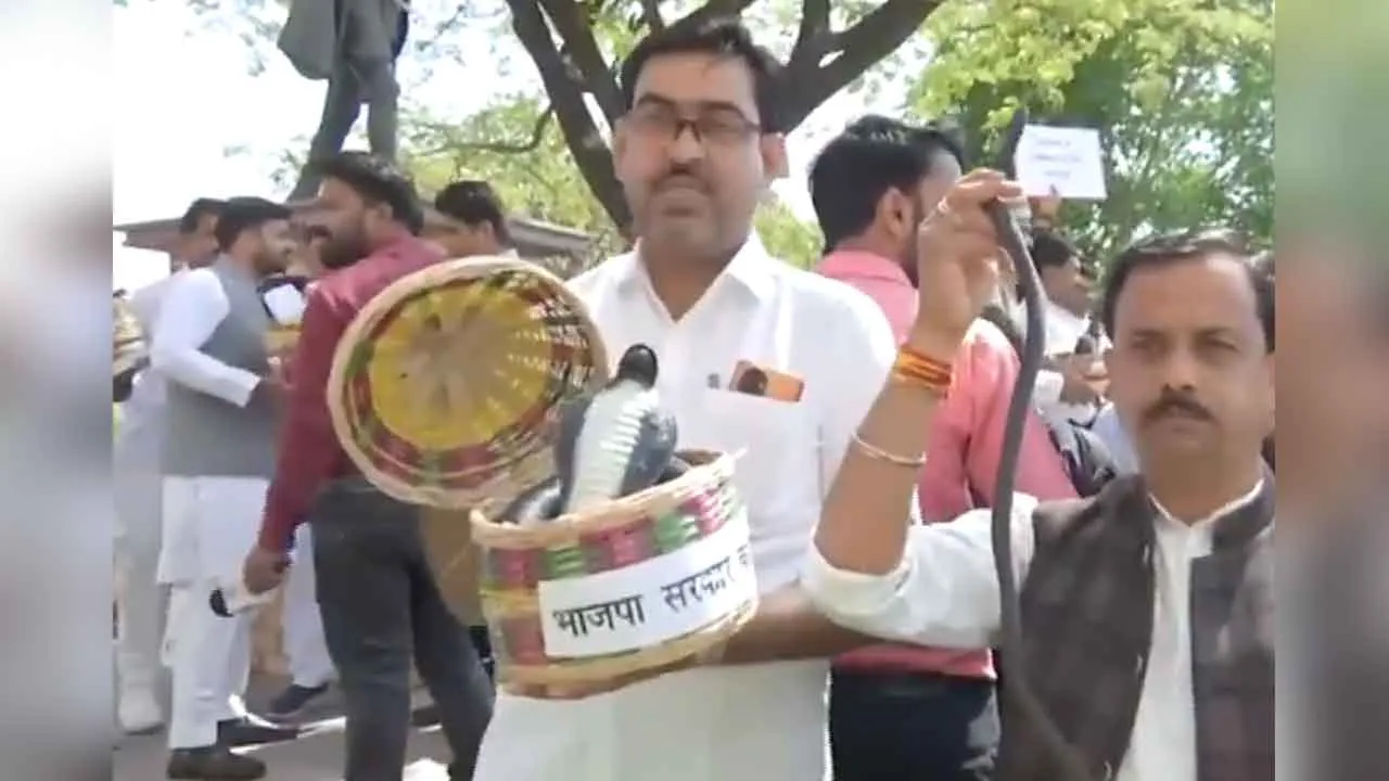 Congress MLA Protest: हाथों में प्लास्टिक के सांप लेकर विधानसभा पहुंचे कांग्रेसी विधायक