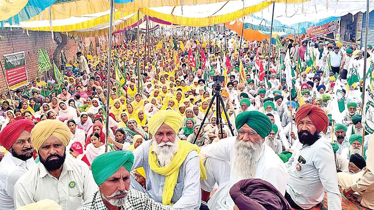 Farmers News: किसान संगठनों ने किया जोरदार प्रदर्शन