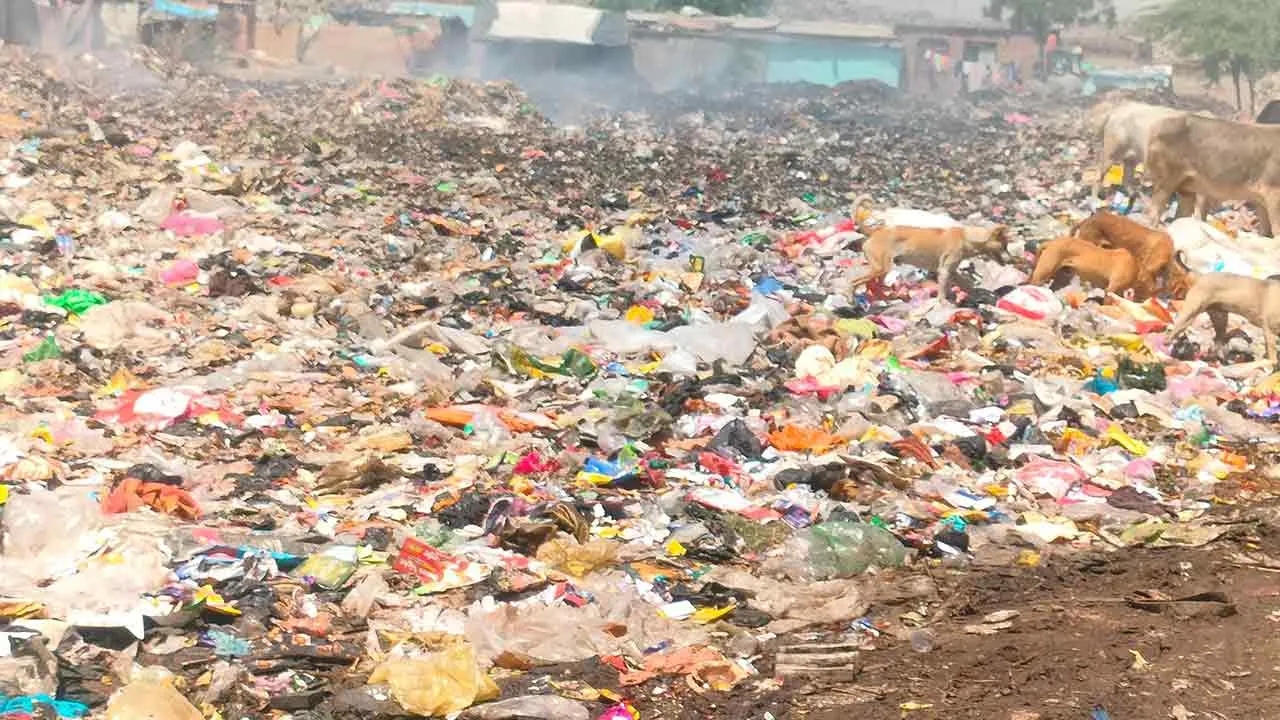 शिकोहाबाद शहर के गंदे कूड़े के निस्तारण के लिए लगाया जा रहा प्लांट