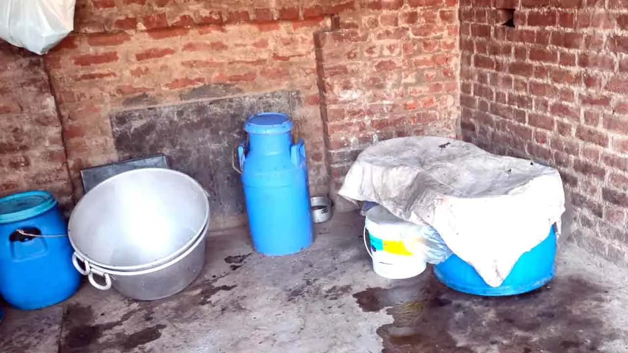 धड़ल्ले से बनाया जा रहा है मिलावटी छैना तथा पनीर