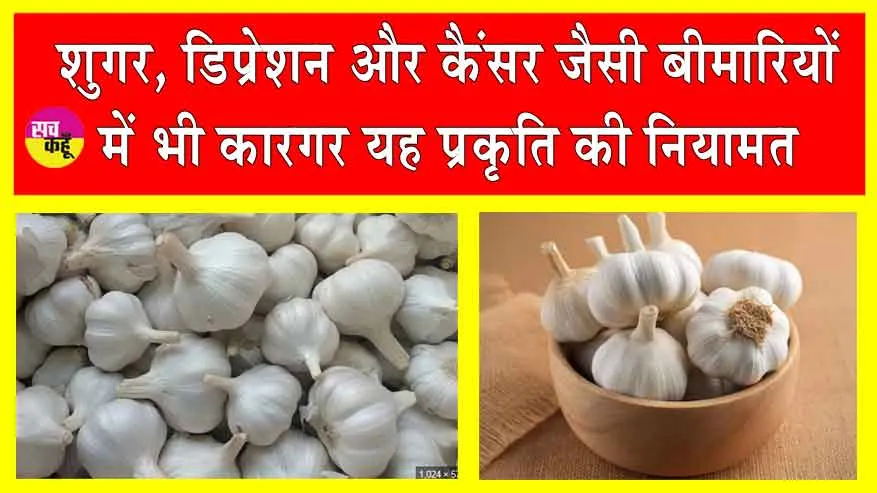 Garlic Health Benefits: लहसुन बिना सब सून! शारीरिक बीमारियों को चुटकी में दूर कर देता बड़ा सुकून