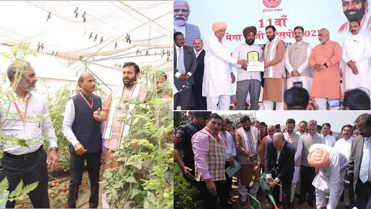 किसानों की आमदनी बढ़ाने के लिए प्रयासरत है सरकार: नायब सैनी