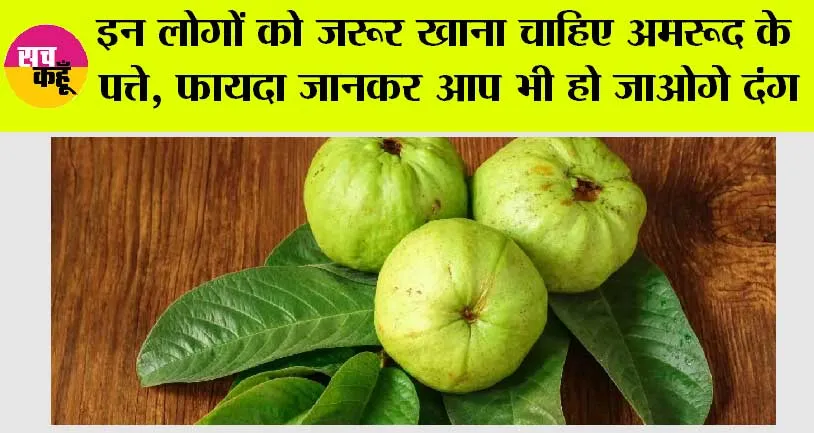 Guava Leaves: इन लोगों को जरूर खाना चाहिए अमरूद के पत्ते, फायदा जानकर आप भी हो जाओगे दंग