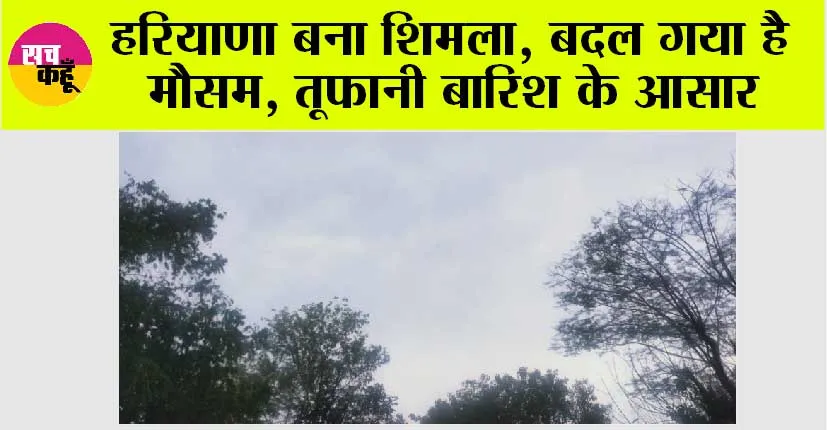 Haryana Weather: होली वाले दिन हरियाणा बना शिमला, मौसम में हुआ बदलाव, तूफानी बारिश के आसार, जानें आने वाले दिनों का हाल