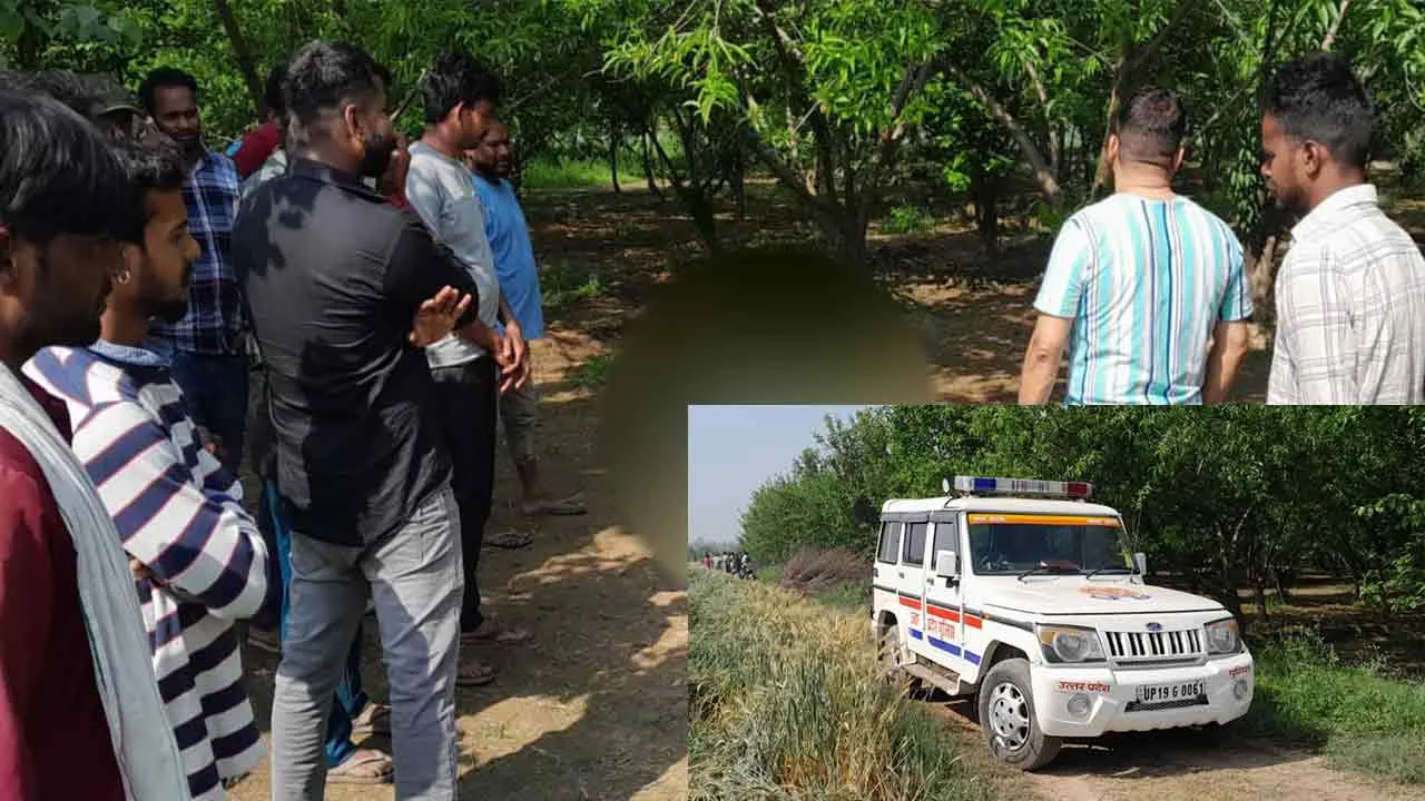 आडू के बाग में गोवंश अवशेष मिलने से सनसनी, मुकदमा दर्ज