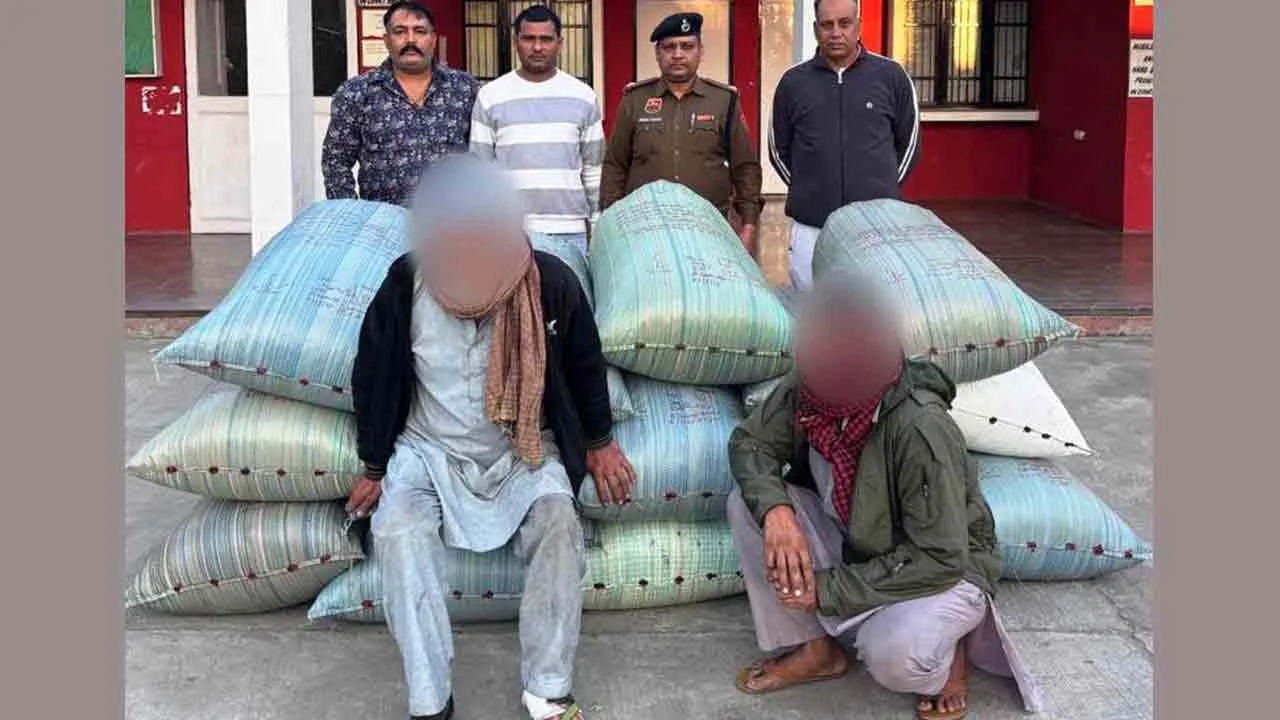 253 किलोग्राम चूरापोस्त के साथ दो आरोपी काबू, 10 दिन के पुलिस रिमांड पर