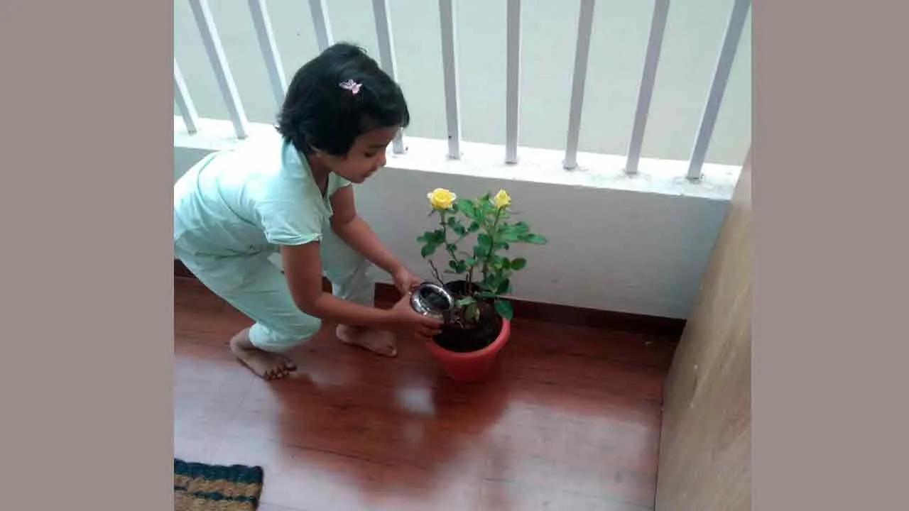महाराष्ट्र की वाणी इन्सां ने अपने जन्मदिन पर पौधारोपण कर मनाया जन्मदिन