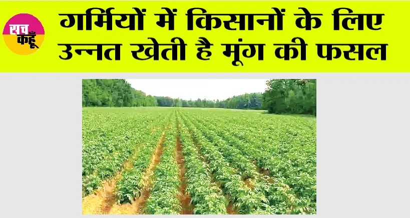 Moong Ki Kheti: गर्मियों में किसानों के लिए उन्नत खेती है मूंग की फसल