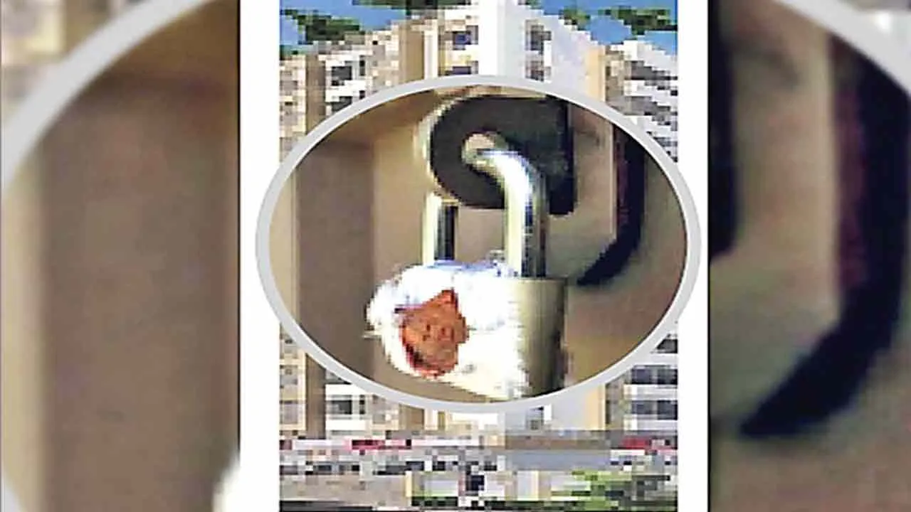 Illegal Colony Houses Sealed: कृषि भूमि में काटी गई अवैध कॉलोनी में निर्मित 3 मकानों को किया सील