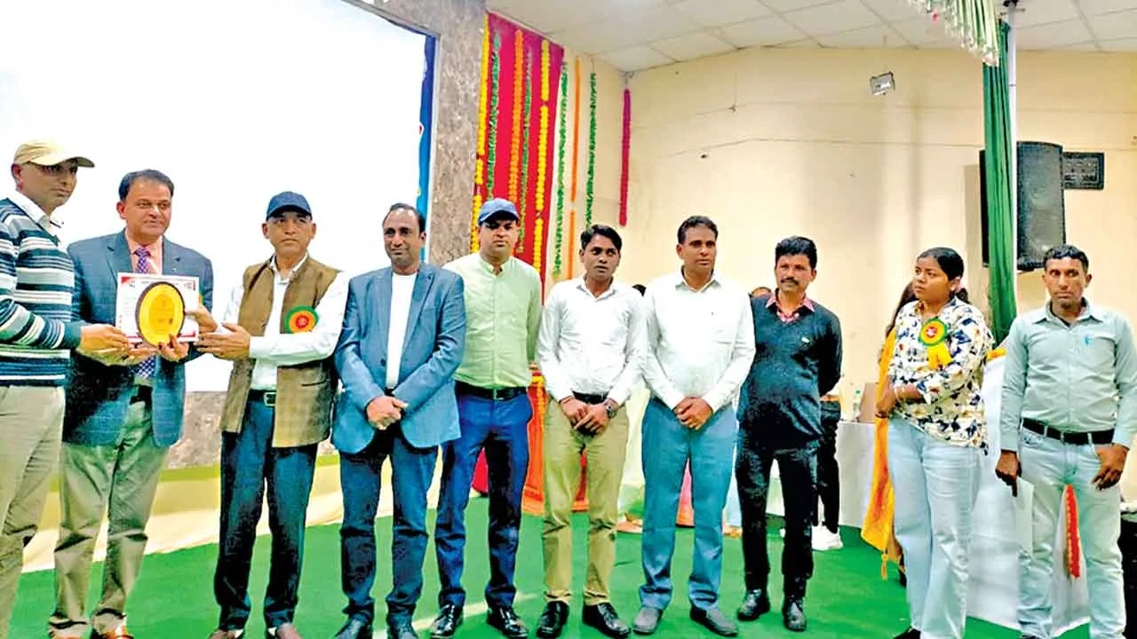 उत्कृष्ट कार्य करने पर जिले के 145 शिक्षक हुए पुरस्कृत