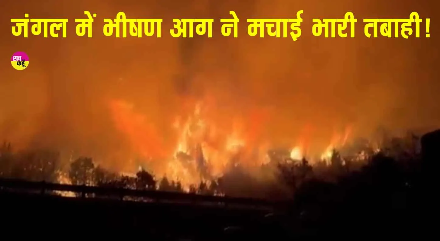 South Korea Wildfires: जंगल में भीषण आग से मचा हाहाकार, हुई बड़ी तबाही