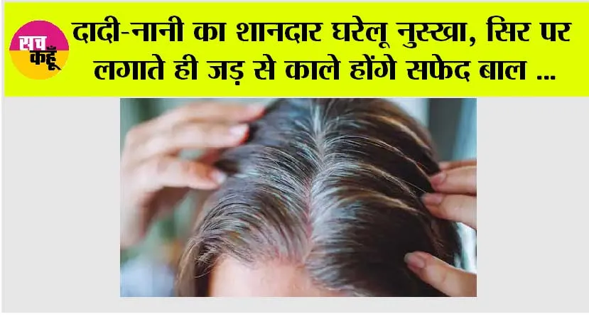 White Hair: दादी-नानी का शानदार घरेलू नुस्खा, सिर पर लगाते ही जड़ से काले होंगे सफेद बाल, चुटकियों में करें तैयार