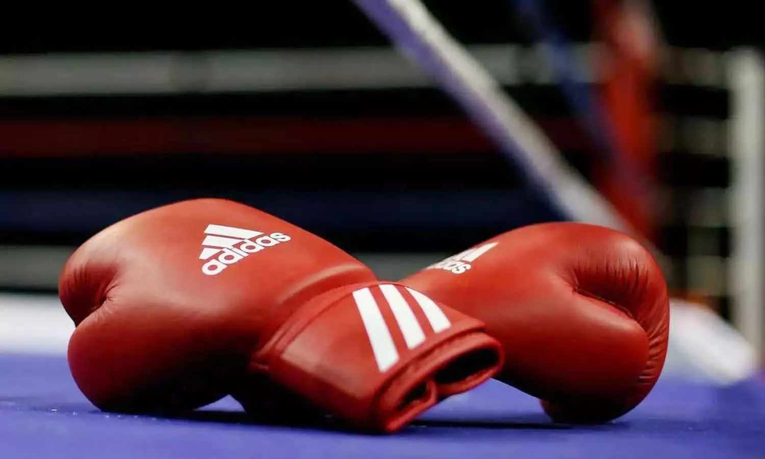 Women’s National Boxing Championship: महिला राष्ट्रीय मुक्केबाजी चैंपियनशिप की मेजबानी करेगा ग्रेटर नोएडा