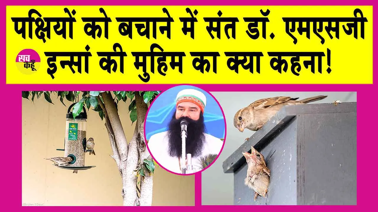 World Sparrow Day 2025: पक्षियों के लिए पूज्य गुरु संत MSG की मुहिम क्या कहना! सरसा के चिकित्सक परिवार का गौरैया को बचाने में विशेष योगदान