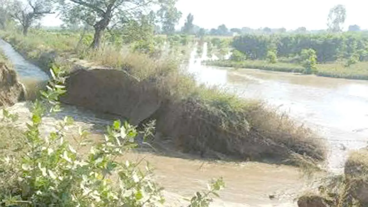 सुखचैन माइनर टूटने से सैकड़ों एकड़ फसल डूबी