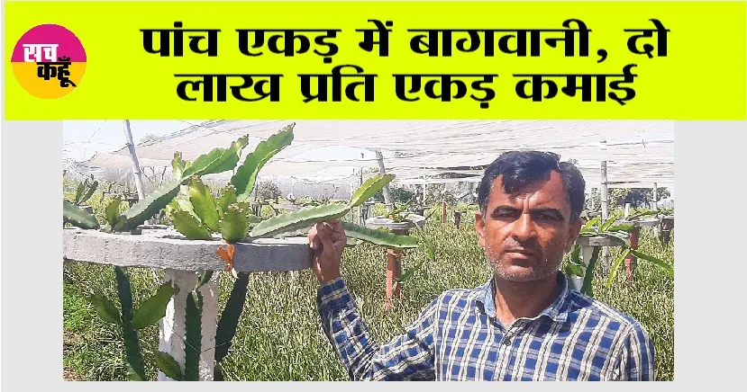 Agriculture News: पांच एकड़ में बागवानी, दो लाख प्रति एकड़ कमाई