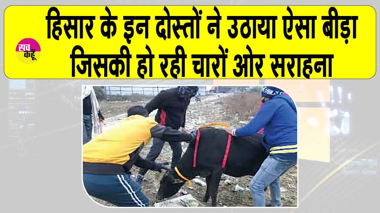Haryana News: हिसार के इन दोस्तों के अनूठे मिशन को जानकर हैरान रह जाएंगे आप